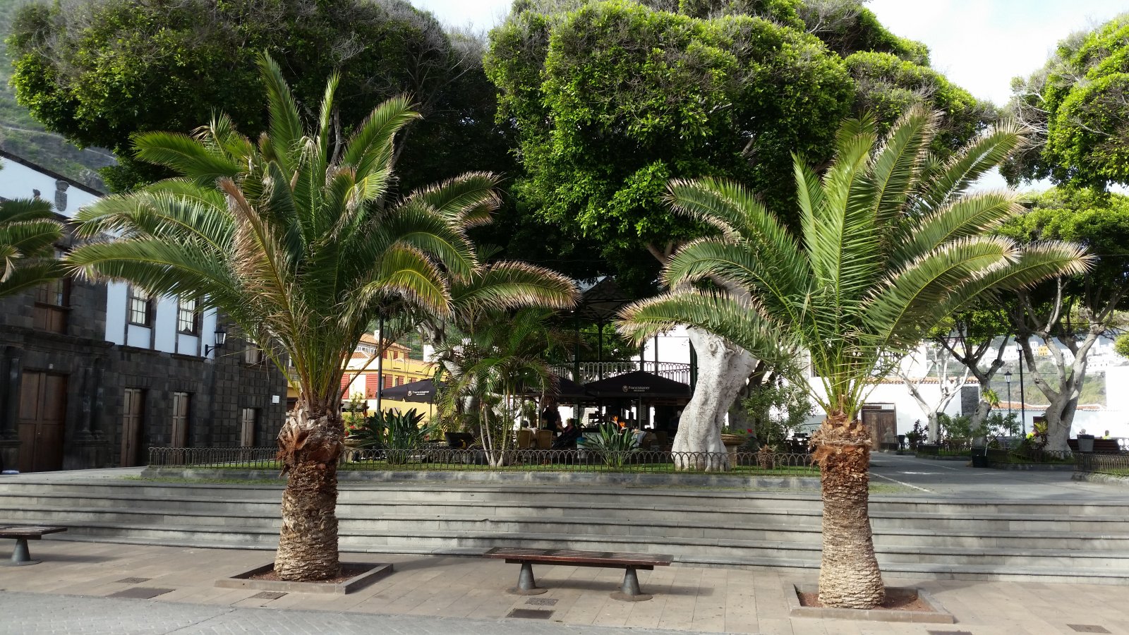 Plein in het centrum van Garachico